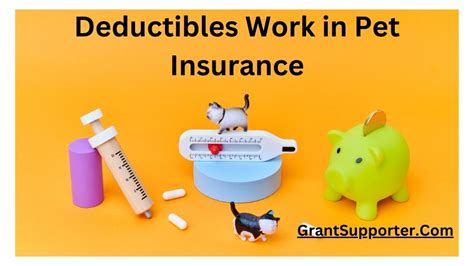 best deductible for pet insurance.